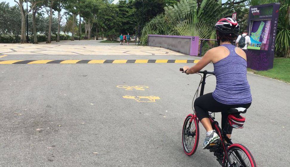 Training was most effective. Had a great time cycling at barrage and Coney Island. Thank you, Faizal!