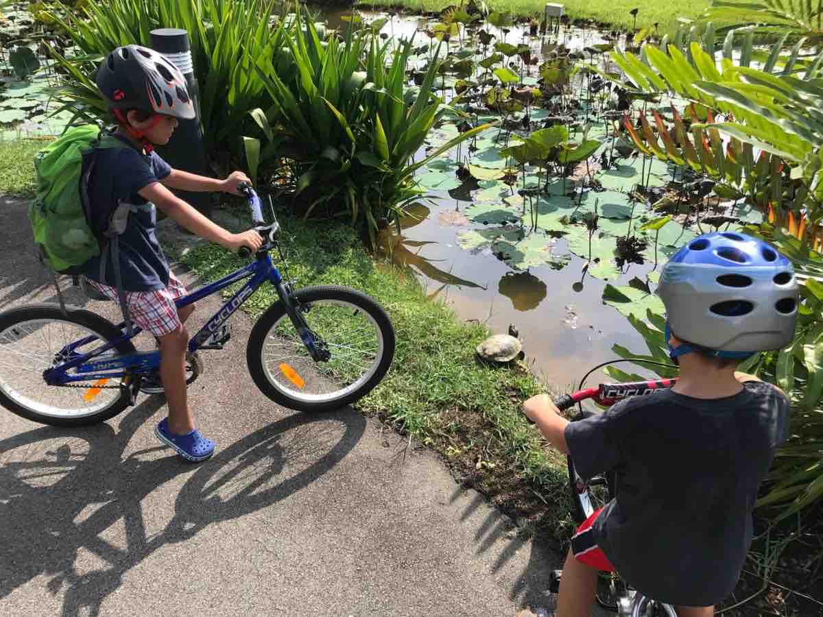 I'm very pleased with what they've learned in just five lessons.